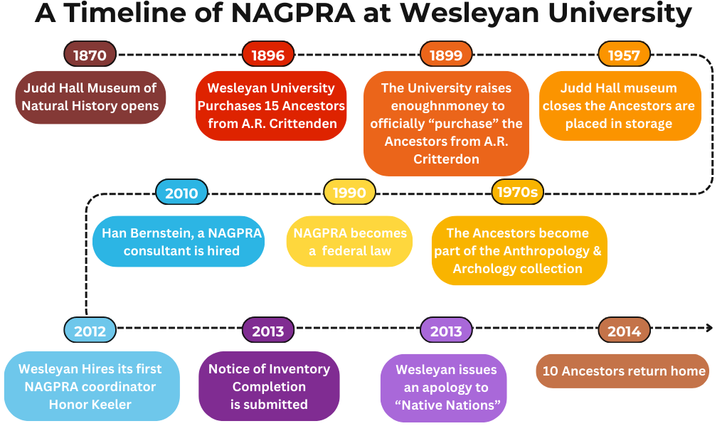 multicolor timeline of Wesleyan University's History with NAGPRA. Contains the same information at the A timeline at Wesleyan section of the website.  